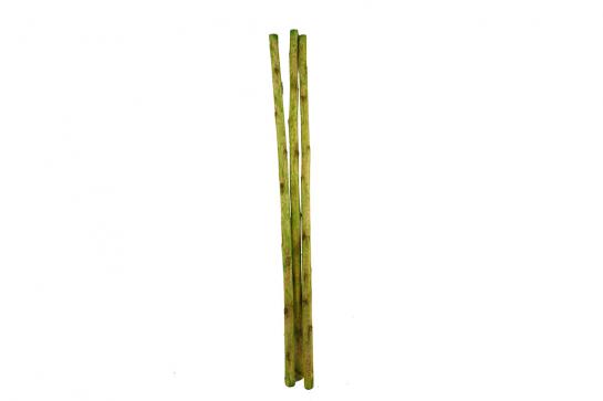 sunflower stem 150cm