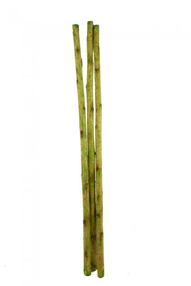 GREEN 450