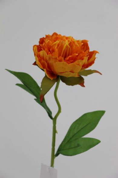 J50