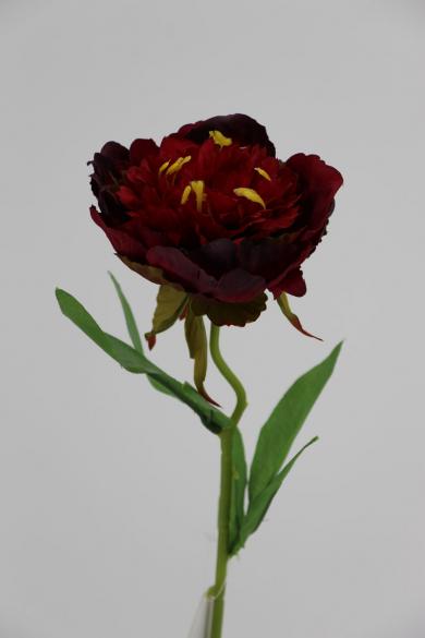 R70R80G60