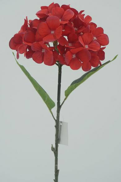 R50P65