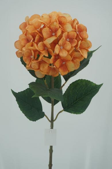 PRINTED ORANGE