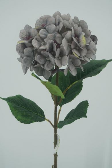 PRINTED GREY