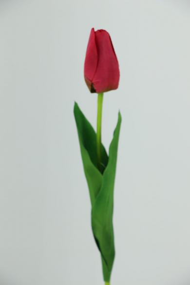 R60