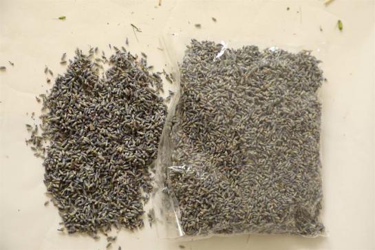 LAVENDER 50G