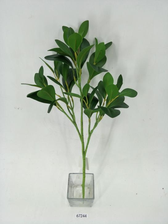 leave branch
