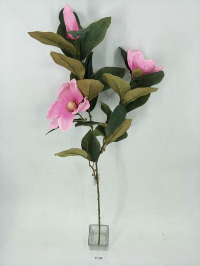 magnolia branch 29leaves + 3flowers